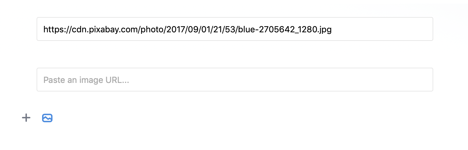 Saved data is visible in input. In empty block we can see a placeholder.